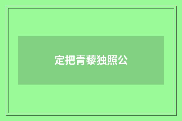 定把青藜独照公