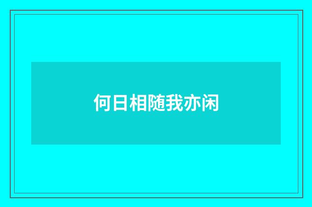 何日相随我亦闲