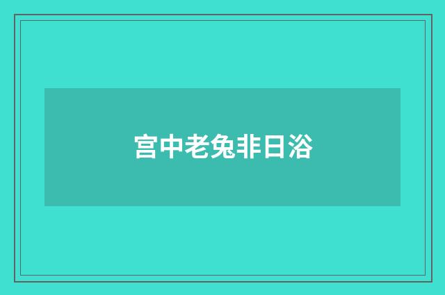 宫中老兔非日浴