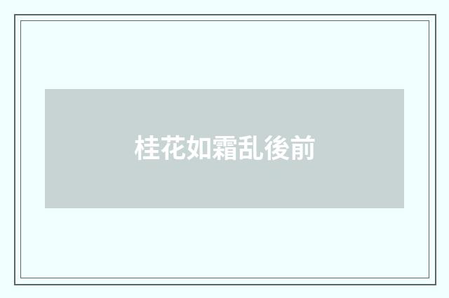 桂花如霜乱後前