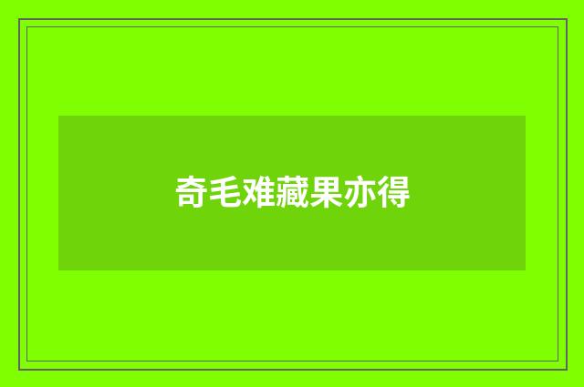 奇毛难藏果亦得