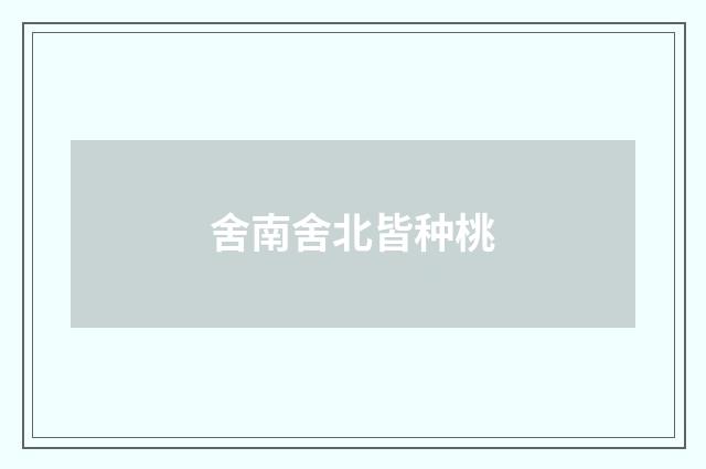 舍南舍北皆种桃