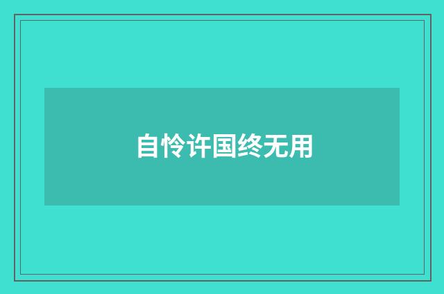 自怜许国终无用