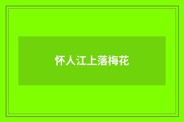 怀人江上落梅花