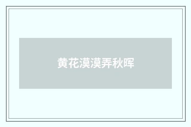 黄花漠漠弄秋晖