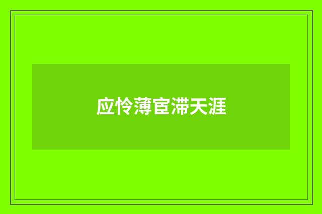 应怜薄宦滞天涯