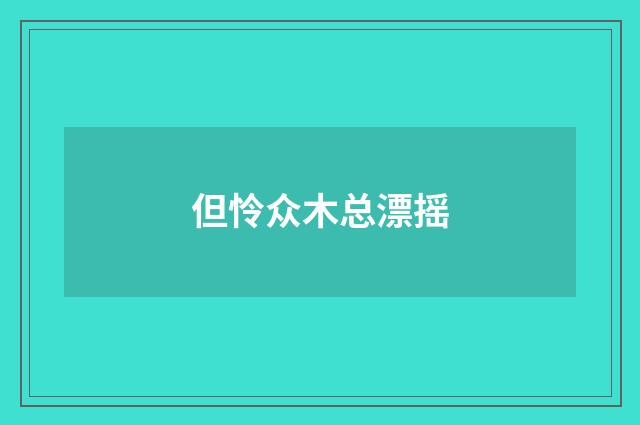 但怜众木总漂摇