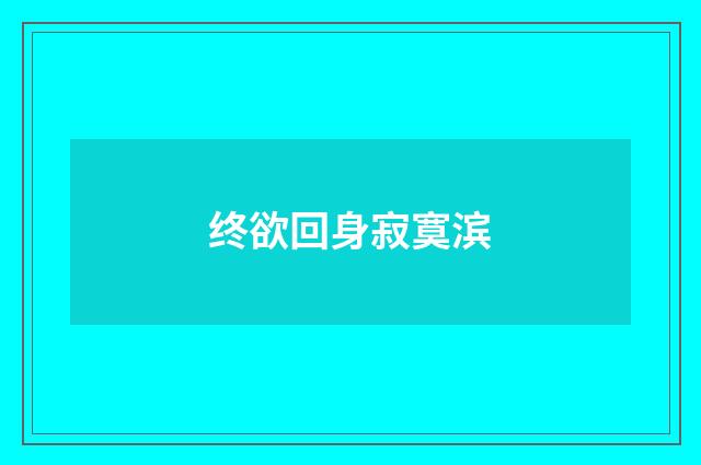 终欲回身寂寞滨