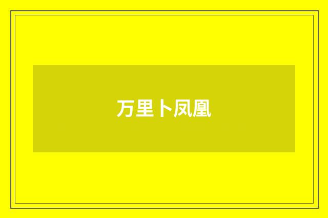 万里卜凤凰