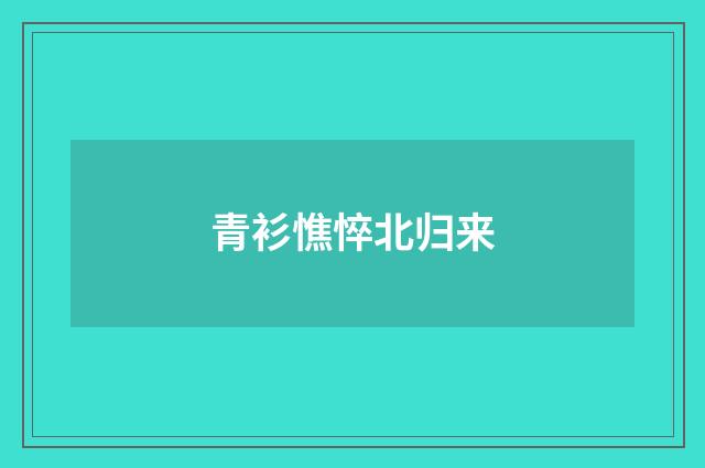 青衫憔悴北归来
