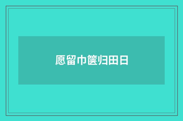 愿留巾箧归田日
