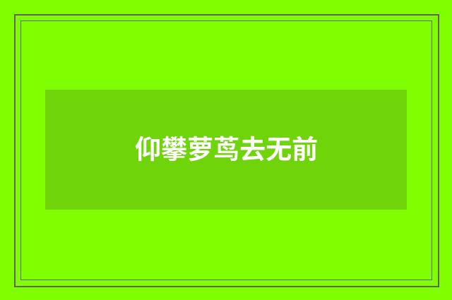 仰攀萝茑去无前