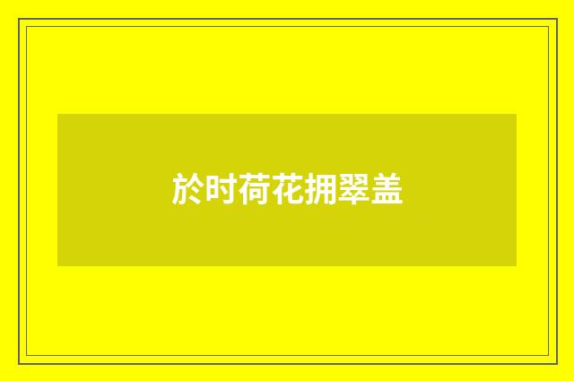 於时荷花拥翠盖