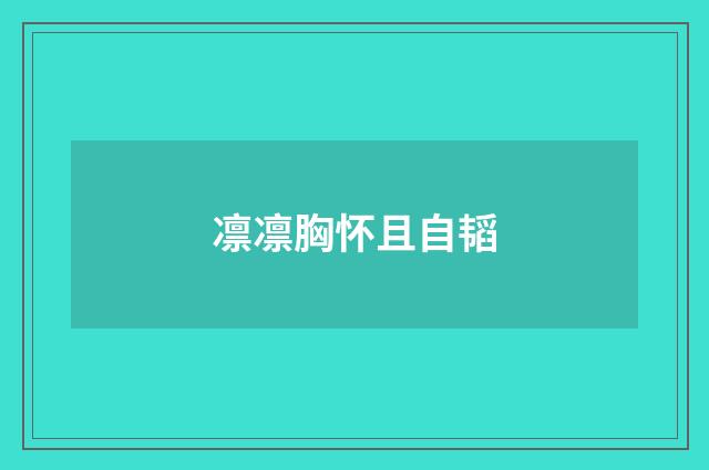 凛凛胸怀且自韬