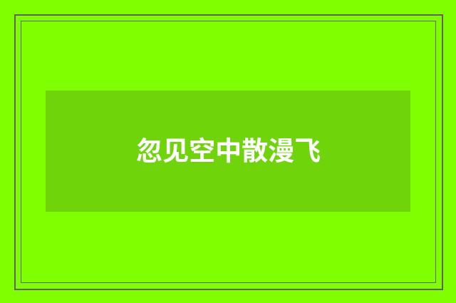 忽见空中散漫飞