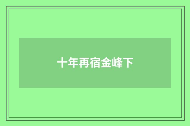 十年再宿金峰下