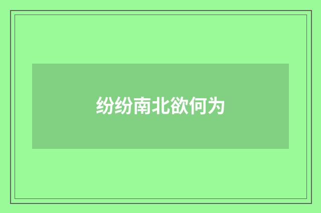 纷纷南北欲何为