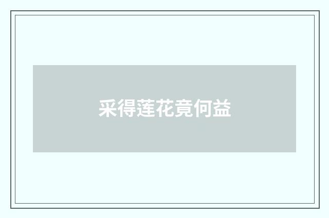 采得莲花竟何益