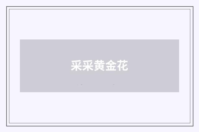 采采黄金花