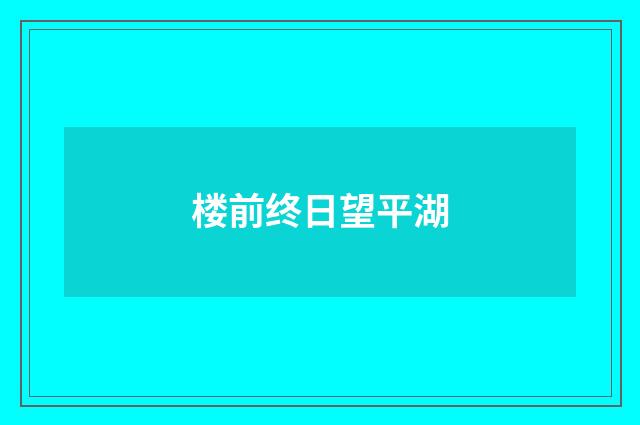 楼前终日望平湖