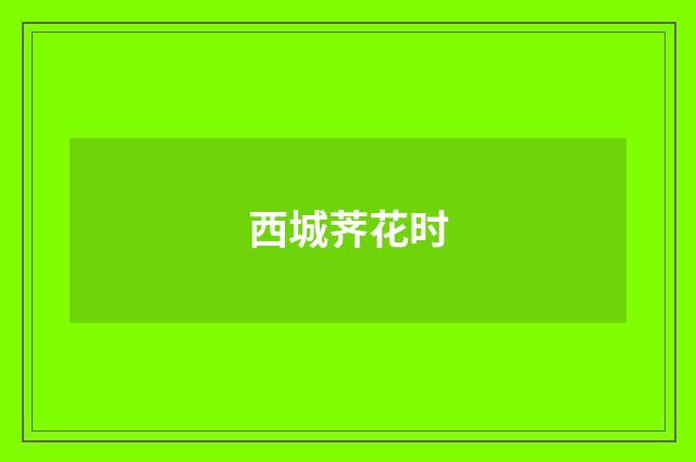 西城荠花时