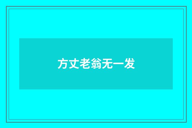 方丈老翁无一发