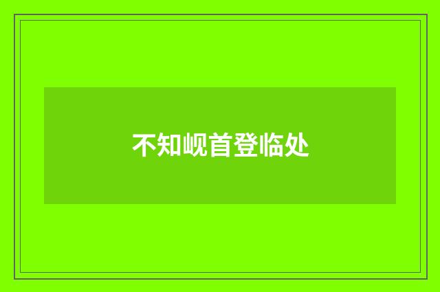 不知岘首登临处