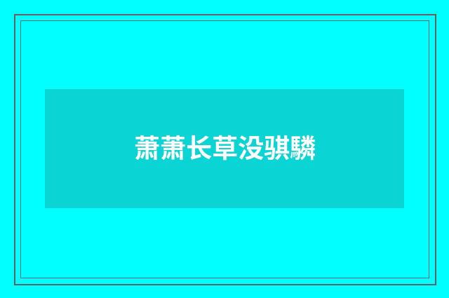 萧萧长草没骐驎