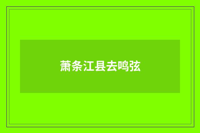萧条江县去鸣弦