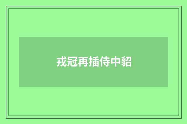 戎冠再插侍中貂