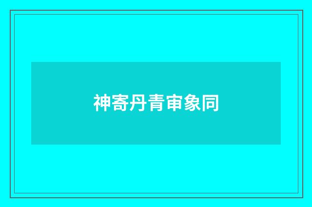 神寄丹青审象同