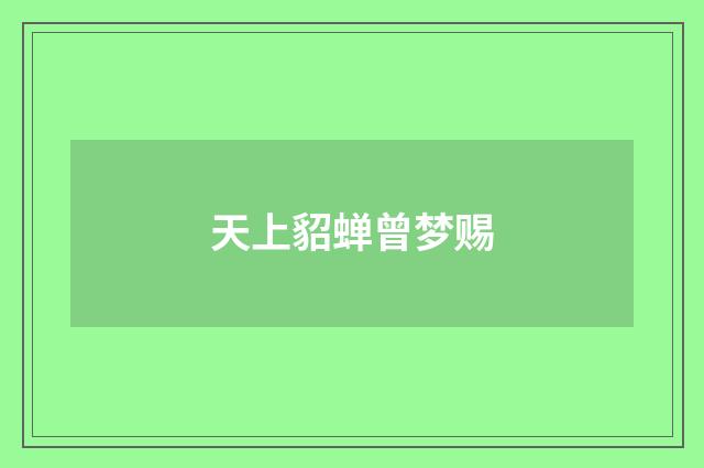 天上貂蝉曾梦赐