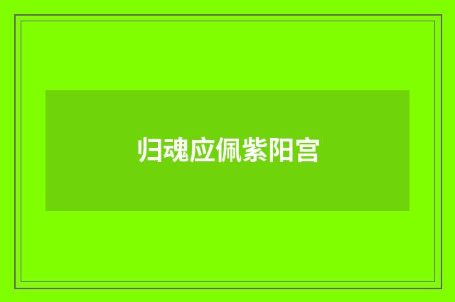 归魂应佩紫阳宫