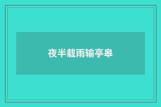 夜半载雨输亭皋