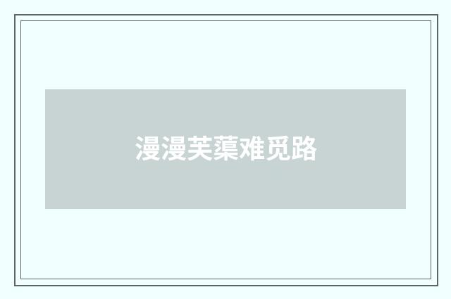 漫漫芙蕖难觅路