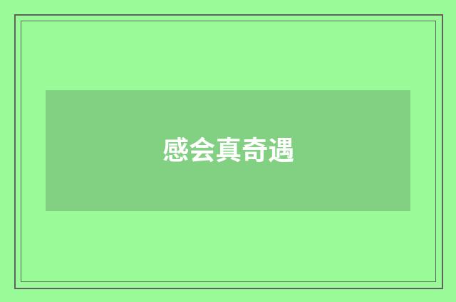 感会真奇遇