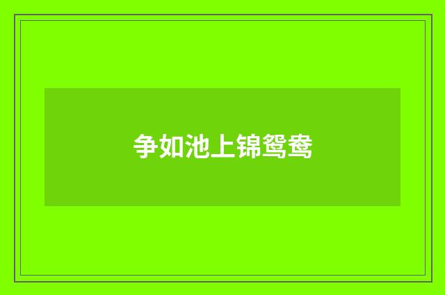 争如池上锦鸳鸯
