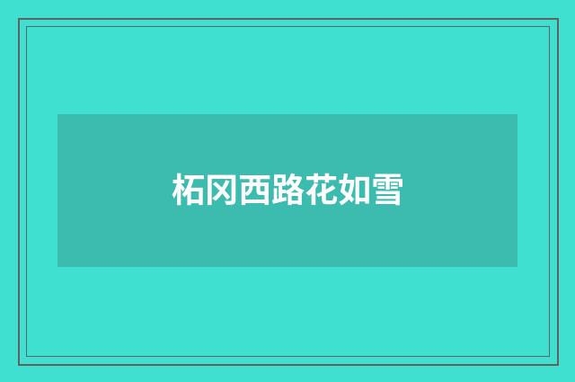 柘冈西路花如雪