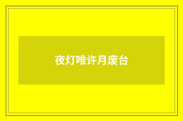 夜灯唯许月废台