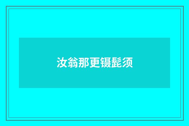 汝翁那更镊髭须