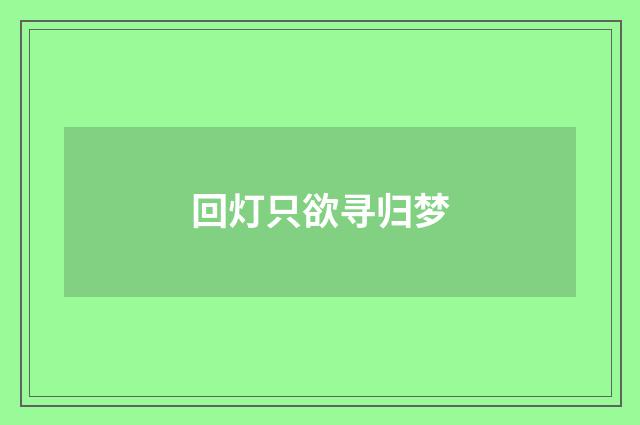 回灯只欲寻归梦