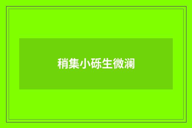 稍集小砾生微澜