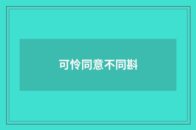 可怜同意不同斟