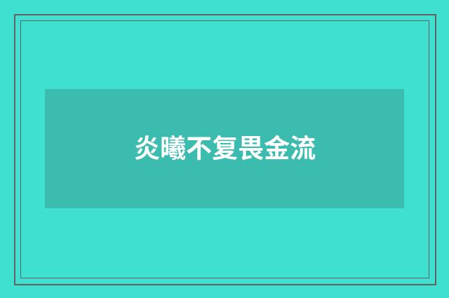 炎曦不复畏金流
