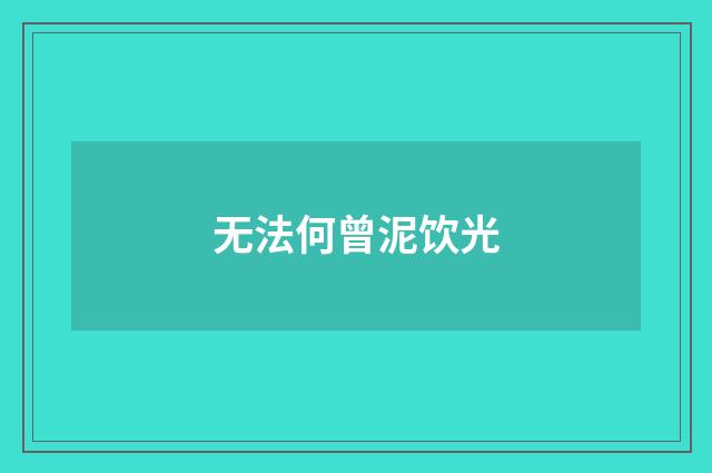 无法何曾泥饮光