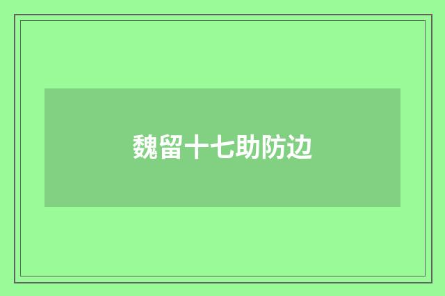 魏留十七助防边