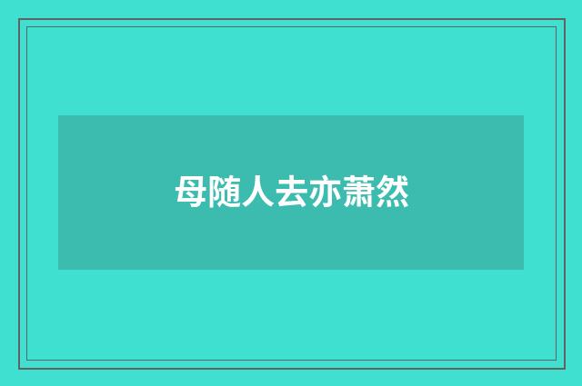 母随人去亦萧然