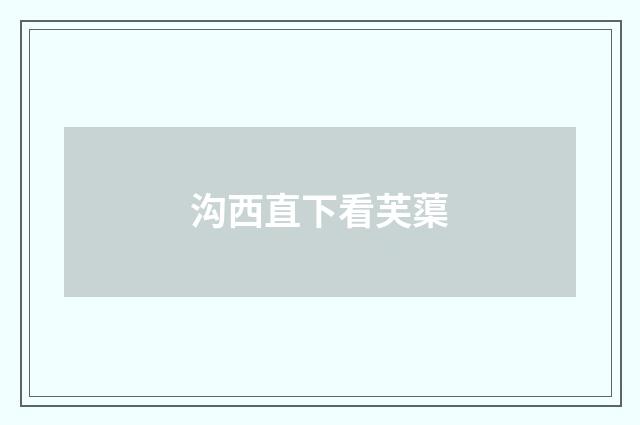 沟西直下看芙蕖