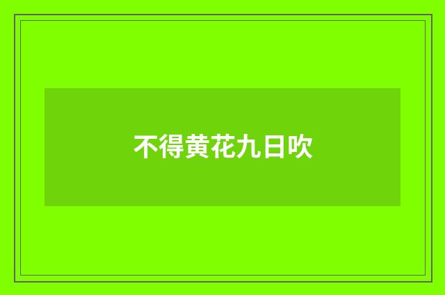 不得黄花九日吹