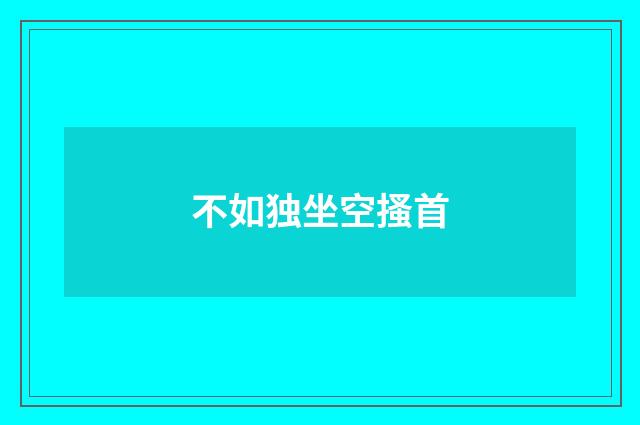 不如独坐空搔首